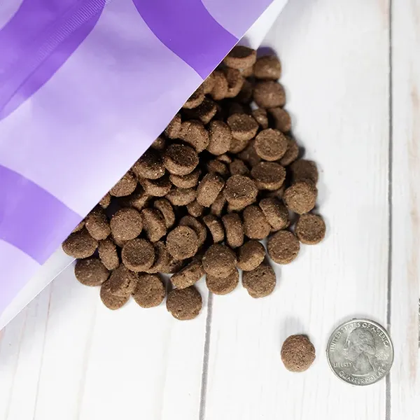 Large Breed Puppy Food